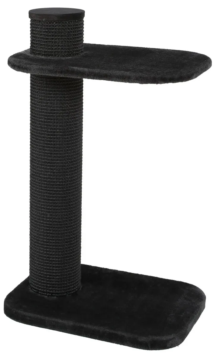 City Cat 2 – Image 2