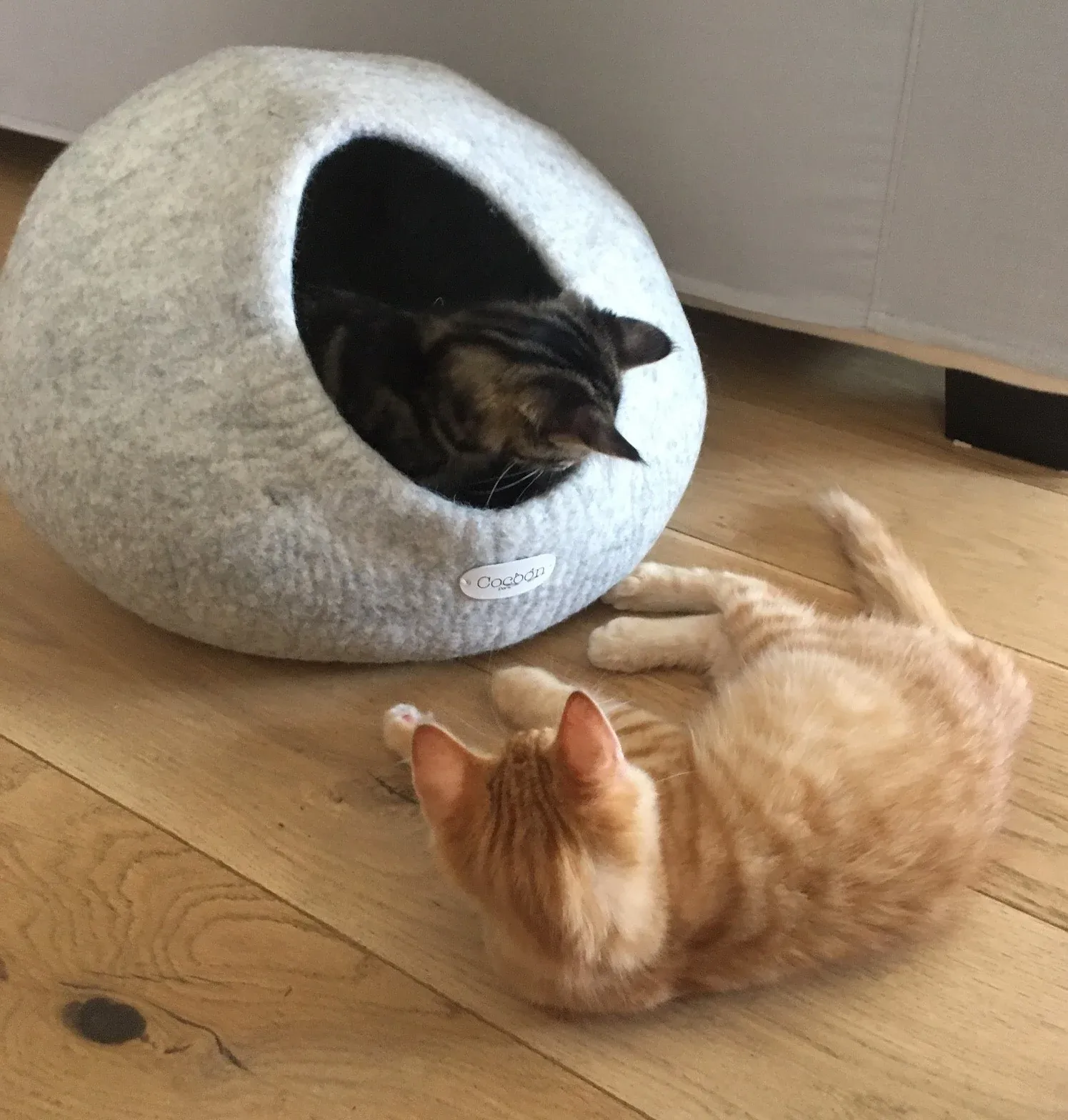 Cocon Pour Chat Uni – Image 5