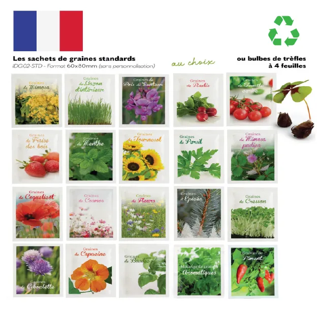 Kit de plantation en bouteille recyclée Made in France – Image 4