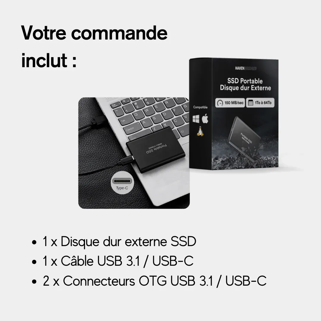 SSD Externe 2To | Jusqu’à 64To | Disque Dur Externe Portable Havenbridges – Image 3